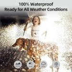 Rechargeable Smart Bark Collar for All Dogs