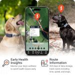 PAJ GPS Dog Tracker - Real-Time Tracking & Alerts