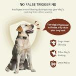 Rechargeable Smart Dog Bark Collar with Adjustable Sensitivity