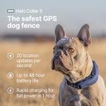 Halo Collar 5: GPS Dog Fence & Tracker