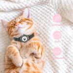 Waterproof GPS Cat Tracker Collar with Bells