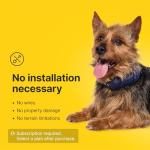 Halo Collar 4: GPS Dog Collar & Wireless Fence