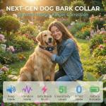 2in1 Rechargeable Bark Collar for All Dogs