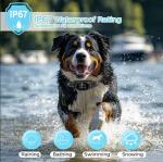 2in1 Rechargeable Bark Collar for All Dogs