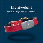 Smart GPS Activity Tracker for Dogs by Petivity
