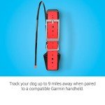 Garmin TT 15X Dog Tracking and Training Collar