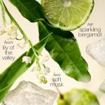 Philosophy Amazing Grace Perfume 0.5 fl oz