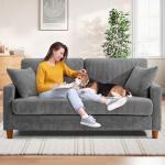 TOTEBOX Grey Corduroy 2-Seater Loveseat Couch