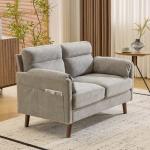 Bonnlo Small Modern 2-Seater Sofa with Storage