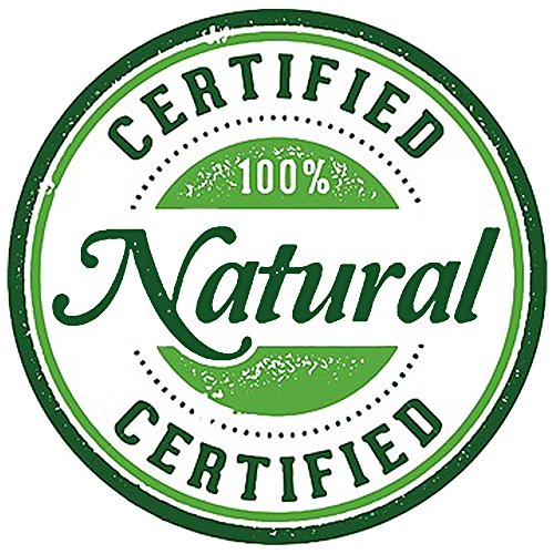 Vegan Essential Oil Bath Bomb Gift Set