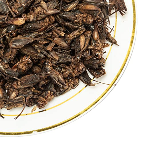 Appetizing Mealworms & Dried Crickets – Natural Food