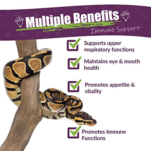 Boost Immunity for Reptiles - Reptaid XL