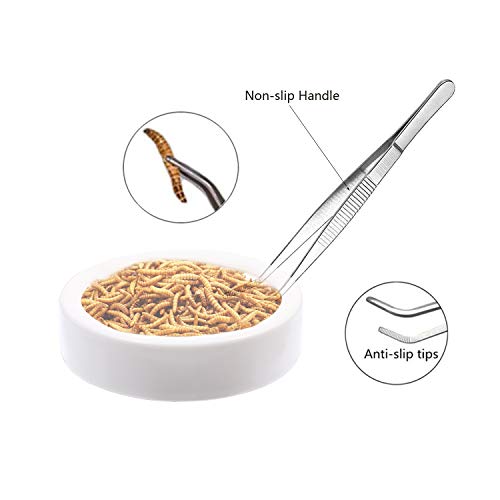 2 Pk Bearded Dragon Dish Reptile Food Bowl (M, White)