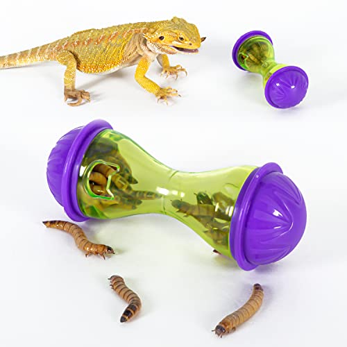 Reptizoo 2-Pack Bearded Dragon Feeding Station
