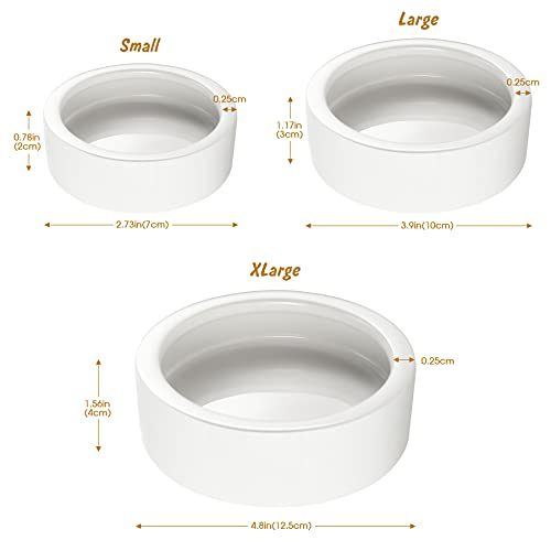 Ceramic Pet Bowls for Bearded Dragon & Reptiles