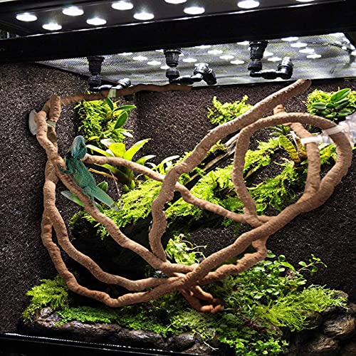 Versatile Reptile Habitat Decor for Bearded Dragons