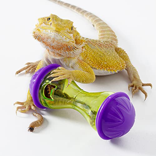 Reptizoo 2-Pack Bearded Dragon Feeding Station