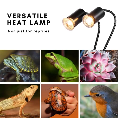 Dual Heat Lamp for Bearded Dragon and Reptiles