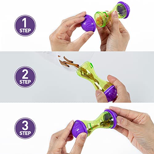 Reptizoo 2-Pack Bearded Dragon Feeding Station