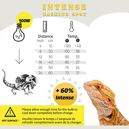 ReptiKing 100W Basking Light for Reptiles