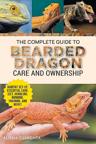 Bearded Dragon Care: Your Complete Ownership Guide