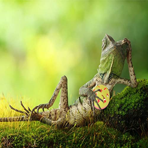 7 Pack Bearded Dragon Toys with Suction Cups