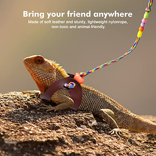 Adjustable Bearded Dragon Lizard Harness Pack with Leash