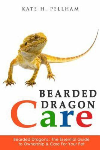Bearded Dragon Care: Essential Ownership Guide