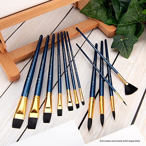 Royal & Langnickel 12-Piece Black Taklon Paint Brush Set