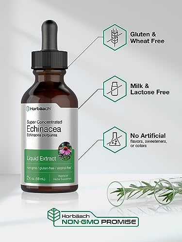 Echinacea Liquid Extract 2 fl oz, Gluten Free