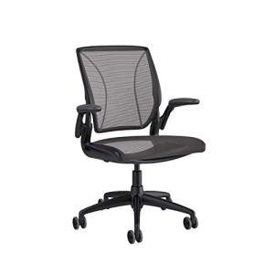 Humanscale Diffrient World Task Chair - Black Mesh