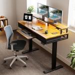 55 Inch Electric Height Adjustable Standing Desk