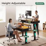 55 Inch Electric Height Adjustable Standing Desk