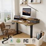 Height Adjustable Electric Standing Desk with Drawers