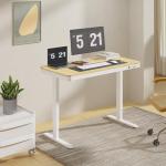 Electric Standing Desk with USB Port and Drawers