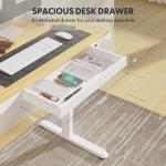 Electric Standing Desk with USB Port and Drawers