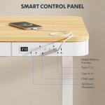 Electric Standing Desk with USB Port and Drawers