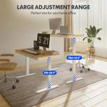 Electric Standing Desk with USB Port and Drawers