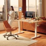 FEZIBO Electric Height Adjustable Standing Desk
