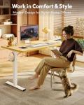 FLEXISPOT EN1 Electric Height Adjustable Standing Desk
