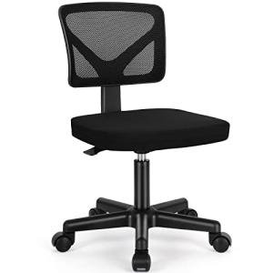 Ergonomic Low-Back Mesh Rolling Desk Chair