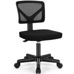 Ergonomic Low-Back Mesh Rolling Desk Chair