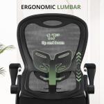 Ergonomic Mesh Office Chair with Lumbar Support