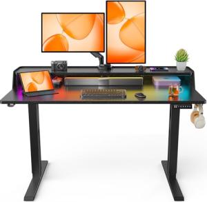 ErGear RGB Electric Height Adjustable Standing Desk