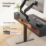 ErGear RGB Electric Height Adjustable Standing Desk
