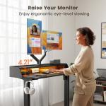 ErGear RGB Electric Height Adjustable Standing Desk