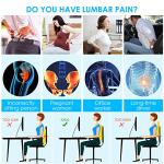 Lumbar Support Pillow for Office and Car