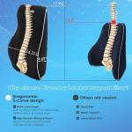Lumbar Support Pillow for Office and Car