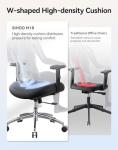 SIHOO M18 Ergonomic Mesh Office Chair - Black