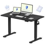 FLEXISPOT Height Adjustable Electric Standing Desk